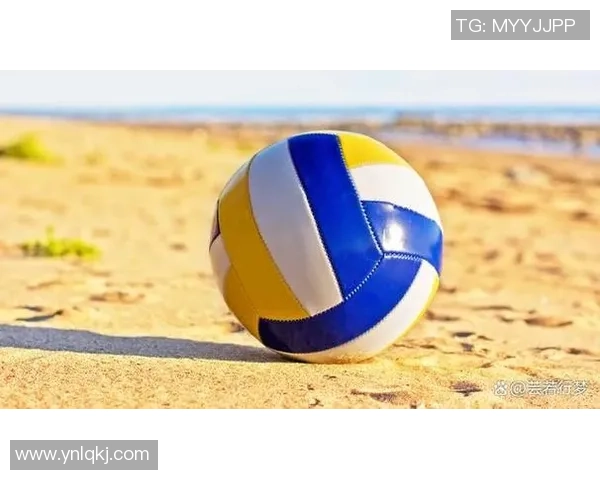 排球新手必看：轻松掌握状态与技巧的入门指南
