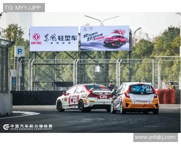 广州与南京乒乓球队耐力对决赛后分析与反思