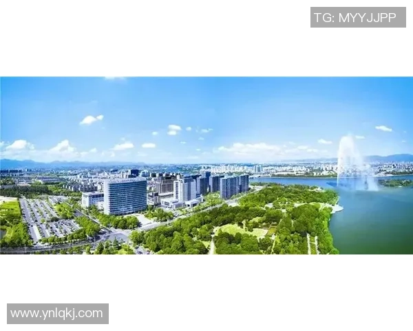 城市联赛特别报道：杭州网球队如何逆袭成冠军的奋斗历程与精彩瞬间